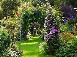 Christines Garten Im Artland Niedersachsen Blumen Fur Garten Garten Pflegeleichter Garten