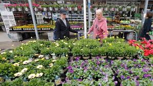 Hewlynn home & garden center has it all. New Stay At Home Order Closes Garden Centers Other Parts Of Grocery Stores Wzzm13 Com