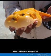 Jabba The Mango Fish Funsubstance Com Mango Fish Deep Sea Creatures Ocean Creatures