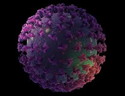 Coronavirus Disease Covid 19 News Articles And Research