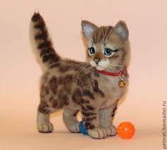 kotik bengal shani smotrite status prezhde chem zakazat zakazat na yarmarke masterov 7cj15ru myagkie igrushki moskva bengaliya chuvstvovali zhivotnye novorozhdennye kotyata