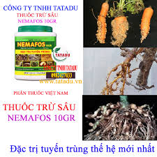 NEMAFOS 10GR
