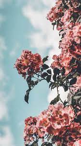 Top 25 Most Popular Preppy Iphone Wallpapers Of 2019 Preppy Wallpapers In 2021 Preppy Wallpaper Iphone Wallpaper Preppy Floral Wallpaper Iphone