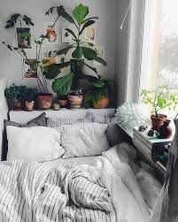 Is a publicly traded american company that owns and operates over 400 retail locations across five retail brands: Pinterest Sunnydayspetaccessories Urban Outfitters Bedroom Home Room Inspiration