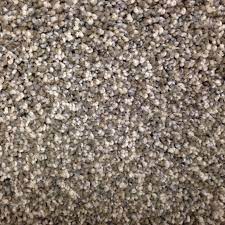 We did not find results for: Stainmaster Petprotect Georgetown North Ridgeline Textured Carpet Indoor Lowes Com Textured Carpet Carpet Samples Stainmaster