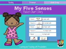 My Five Sense Pocket Chart Story My Five Senses