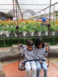 Cameron highlands tempat menarik : Tempat Menarik Di Cameron Highland Yang Mommy Singgah