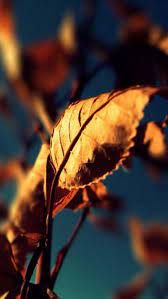 Desktop wallpapers iphone se/5s/5c/5 for parallax, hd backgrounds 800x1420 sort wallpapers by: 40 Best Iphone 5 Wallpapers And Backgrounds