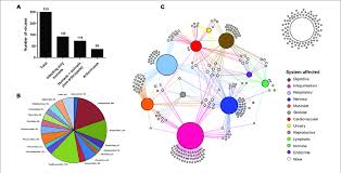 Human Viruses And Affected Systems A Human Affecting