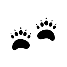 Pawprints Free Vector Icons Designed By Freepik Bear Footprint Bear Paw Print Animal Footprints