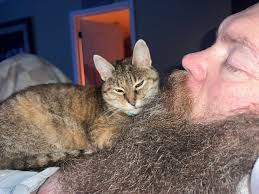 Every single night she cuddles up