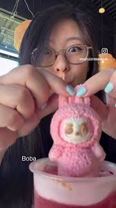 Boba in Des Plaines Illinois