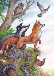 A4 Print Animals Of Farthing Wood Etsy Spirit Animal Art Animal Illustration Animal Art