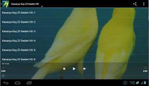 Android Icin Kanarya Kus Zil Sesleri Hd Apk Yi Indir