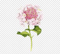 Choose an perfect artwork which your friends and family will admire for years. Lilac Watercolour Png Images Pngegg