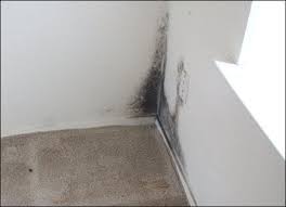 Mold in a corner, or behind a book case, or some place where the wall surface may be colder than other places in the house, is an indication that your humidity is too high in the house, the wall is not insulated well enough, or both. Unfairly Blaming Tenants For Interior Mold