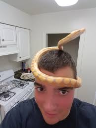 What are effective alternatives to Simple Green for stripping paint?