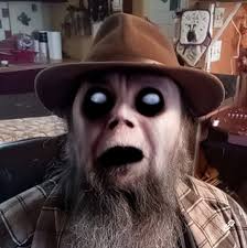 Are red eyed angel fish bullies?