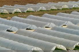 In diesem video bauen wir ein gewächshaus, welches fast schon ein smart home für den garten ist :d eine anleitung zum selber. Folientunnel Selber Bauen Diy Anleitung Fur Einfachen Pflanztunnel Hausgarten Net