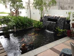 As an authorised master dealer, they have a working synergy 35 drum combi on their display pond, together with a comprehensive range of our products. Fish Ponds Koi Pond An Important Element Of Zen Gardens To Create Natural Environment