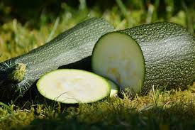 Cool weather brings out the sweet, nutty flavor of this highly nutritious leafy green. Everything You Need To Know About Growing Zucchini J R Pierce Family Farm