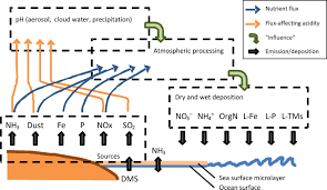 When you add a solute to a solvent, the kinetic energy of the solvent molecules thus, increasing the temperature increases the solubilities of substances. Changing Atmospheric Acidity As A Modulator Of Nutrient Deposition And Ocean Biogeochemistry Science Advances