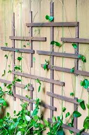 Adding a trellis to your garden is highly recommended in some instances, especially if you're growing vegetables. 22 Best Diy Trellis Ideas Easy Garden Trellis Project Designs
