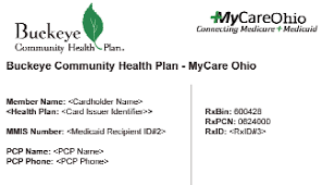 After installation is complete just open the software. 2