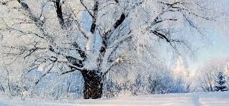Snowflake's cloud data warehouse — what i learned and why i'm rethinking the data warehouse. Snowflake A Modern Cloud Based Sql Data Warehouse Ironside Business Analytics Data Science Information Management
