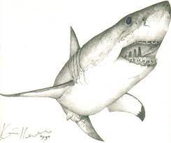 Learn how to draw with a variety of drawing media including ink, charcoal and graphite in this mixed media drawing lesson of a great white shark. Great White Shark By Kh Fx On Deviantart Shark Art Shark Drawing White Sharks