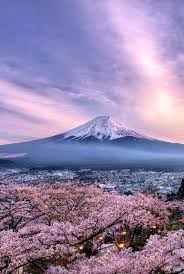 Check spelling or type a new query. Mont Fuji Japon Japan Photo Japan Photography Cherry Blossom Japan