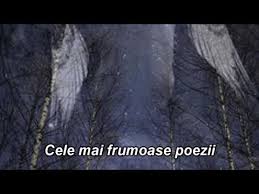Mircea dinescu, port cultural cetate. Cele Mai Frumoase Poezii I Sunt TanÄƒr DoamnÄƒ Mircea Dinescu Youtube