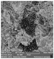 Image result for bulat steel micrograph