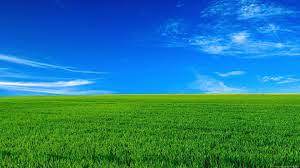 If you have one of your own you'd like to share, send it to us and we'll be happy to include it on our website. 20 Download Green Nature Hd Wallpapers Basty Wallpaper