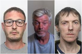 Sex offenders, drunken thug, 'nasty bully' and driver jailed