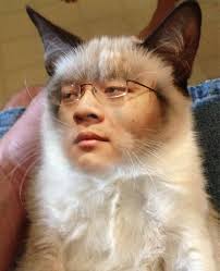 I am Nicholas Ha, an Editor for the official "Bronies" documentary  (formerly "BronyCon: The Documentary"). I helped put together the film,  made the trailer, and have worked VERY closely with Michael Brockhoff,