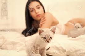 Katze Und Dame. Spielen Sie Mit Kätzchen. Wunderschönes Attraktives Mädchen  Entspannt Sich Mit Süßen Kätzchen. Frau Perfekter Körper Und Katze. Sexy  Model Spielt Entzückendes Kätzchen Mit Selektivem Fokus. Mit Katze Im Bett