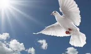 Το ποσό που κόστισε το δώρο της amelia θα σε «κουφάνει». Agioy Pneymatos Ti Giortazoyme Th Deytera 08 06 Megalh Giorth Ths Or8odo3ias Newsbomb Eidhseis News