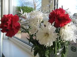 The meanings of most flowers, with pictures and links for flower care, flower giving, floral. Red And White Flowers Plant Lore