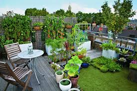 Kleine Gaerten Callwey 11 Jpg 1417 945 Lawn Restoration Garden Solutions Garden Services