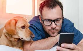 Top 10 Alexa Skills for Dog Owners