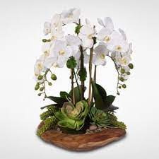 Real Touch 6 Stem Phalaenopsis Orchids Succulents In Wood Bowl Orchid Flower Arrangements Silk Orchids Phalaenopsis Orchid