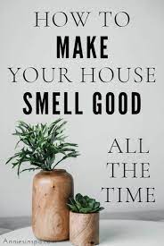 How To Make Your House Smell Good All The Time House Smell Good Clean House Smell House Smell