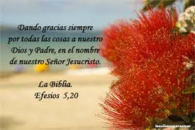 Lecciones Para Amar Mensaje Biblico Gratitud A Dios Mensajes Biblicos Gratitud A Dios Gratitud
