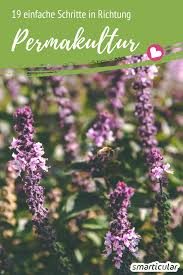 19 Tips How The Garden Becomes A Permaculture Garden In 2020 Permaculture Gardening Permaculture Herb Garden Design