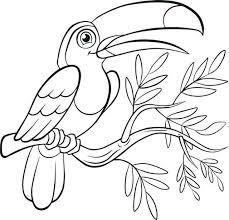 Their huge bills make them something special to look at. Pin By Illustration Designer On Toucan Coloring Pages Bird Coloring Pages Cartoon Coloring Pages Animal Coloring Pages