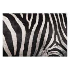 New way to manage your business successfully. Matteo Bodenmatte Vinyl Bedruckt 60 X 90 Cm Zebra Contento