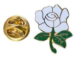 white rose pin
