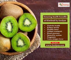 Pin On Kiwifruit