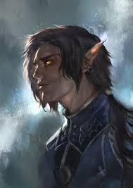 Male Pc Portrait Fantasy Art Illustrations Fantasy Art Men Elf Art